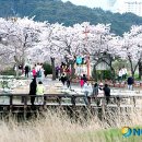 경포의휴일 이미지