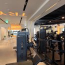 스타일 피트니스 이미지