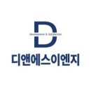 디앤에스이엔지