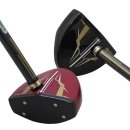 베스타 골프 이미지