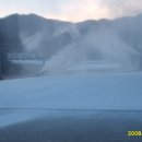 리틀베어 이미지