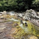 부영A단지앞도로1 이미지