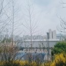 옥정체육공원 농구장 이미지