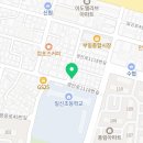 릴리네 애견미용실 이미지