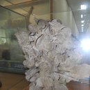 (주)고려한백 - 구리시 | (주)고려한백