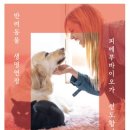 Dr.펫 네이버블로그