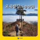 평화순환길 이미지