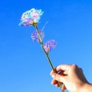 크리스탈 이미지