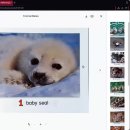 6 Animal Babies 이미지