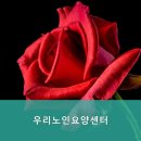 호평요양병원 | 광주시 서구 믿을 수 있는 요양원 추천 우리노인요양센터 믿고 맡길 수 있는 곳