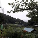 옥주농장 이미지