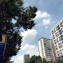 작은형아 코퍼레이션 | 저소음 선풍기 사용한 후기