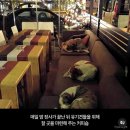24년 9월 요약본