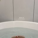 1인세신샵 윤 | [광주/금호지구] 프라이빗하게 1인 세신 받을수 있는 "1인세신샵 윤"
