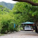 별천지야영장 이미지