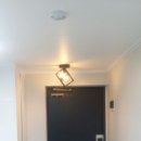 봉명청솔@ 이미지