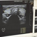 제이산부인과의원 이미지