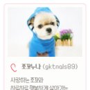 스타일나개 이미지