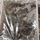 두식농원 이미지