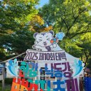 미스터앵두