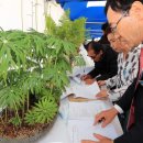 황매산 철쭉제 이미지