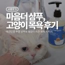 아나봄 펫살롱 | 고양이샴푸 무향 추천｜봄 털갈이 시즌에 써본 마음더 샴푸 후기