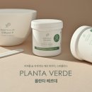 플란타 이미지