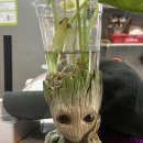 정성김밥 | [목포/맛집] 목포 여행 코스 맛집 – "정성김밥"에서 먹은 톳·전복김밥 후기