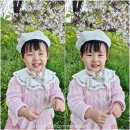 갑천로 이미지