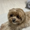 메이그루밍 이미지