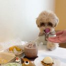 개네집곳간 이미지