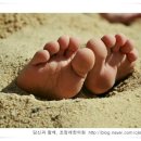 조정래한의원 네이버블로그