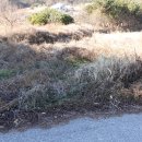 가람합동부동산중개사무소 이미지