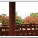 희망대공원 이미지