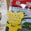 구례-07호 티스토리