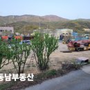 소석농장 이미지