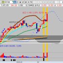 오리엔트메디칼 이미지