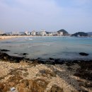 송정동 해수락 이미지