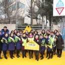 횡단보도옐로카펫 이미지