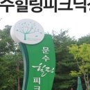 피크장 이미지