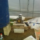 자동목장 이미지