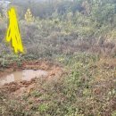 산양리 | 경상북도 구미시 해평면 산양리 140 감정가액 1.09억 대단하네요. 실사후기 아름답다