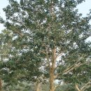 횃불농장 이미지