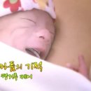 엄마품케어 이미지