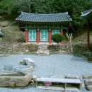 순천 나무숲 이미지