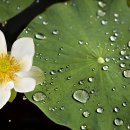 자매여인숙 이미지