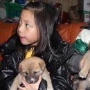 진부령황태 이미지