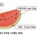 수박씨 이미지