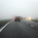 진영카센타 이미지