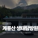 맛드네식당(트윈시스템구내식당) | 계룡산 생태탐방원 4인실 103호 후기｜예약 방법부터 오전 프로그램 총정리